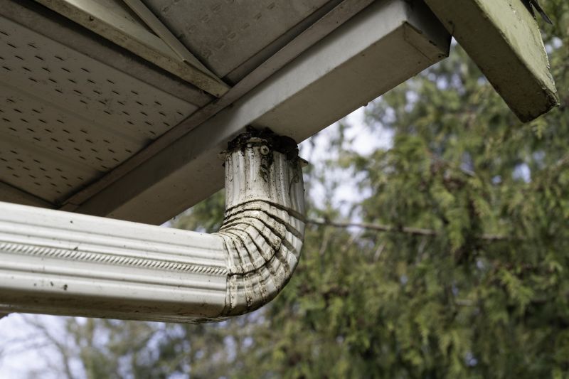 Downspout Damage