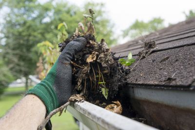 Gutter Cleaning and Maintenance